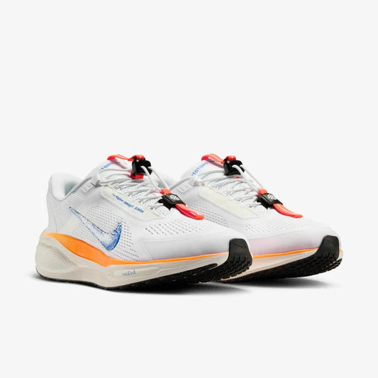 Nike Pegasus EasyOn "Blueprint"