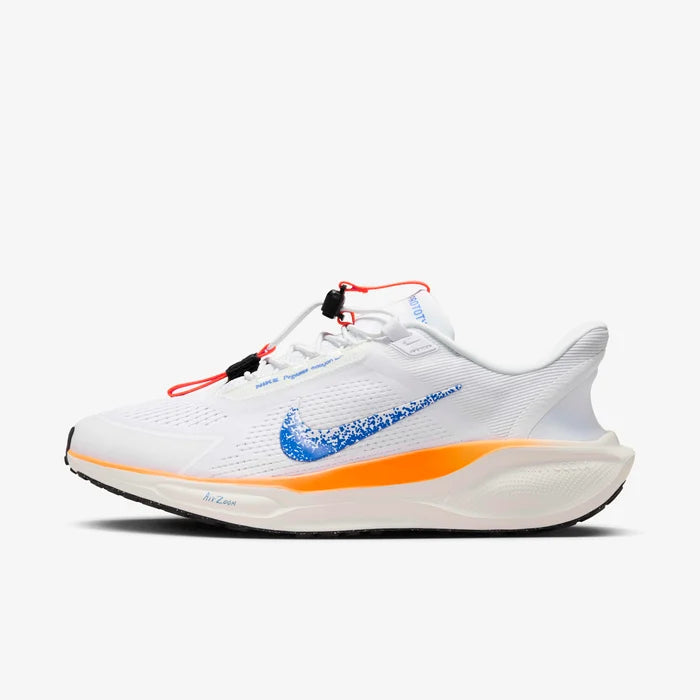 Nike Pegasus EasyOn "Blueprint"