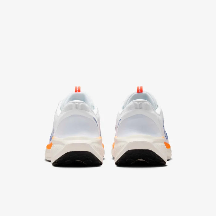 Nike Pegasus EasyOn "Blueprint"